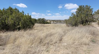Surrounded by Santa Fe National Forest - Near Las Campanas and Golf Course - 8 Miles from Santa Fe