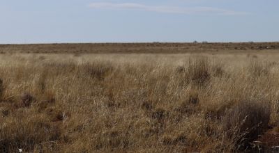 1.26 Acre Vacant Lot Located in Sun Valley, AZ for starts at $99 per month