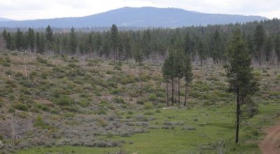 On Hill - Klamath County Oregon land - Camp RV build