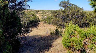 Treed Parcel - Arroyo at Back Property Line - Views - Near 2 Lakes