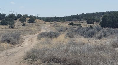 Surrounded by Santa Fe National Forest - Near Las Campanas and Golf Course - 8 Miles from Santa Fe