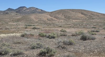 Nevada back country 40 acres near the middle of Nowhere