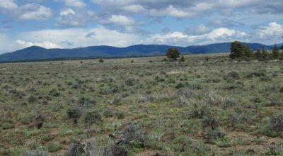 Wide Open Views on Tableland Mesa * corner lot