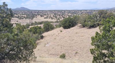 Surrounded by Santa Fe National Forest - Near Las Campanas and Golf Course - 8 Miles from Santa Fe