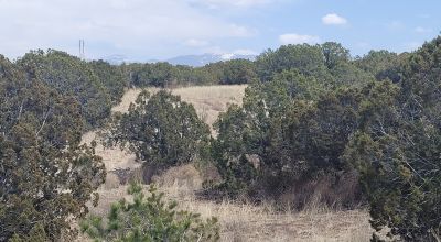 Surrounded by Santa Fe National Forest - Near Las Campanas and Golf Course - 8 Miles from Santa Fe
