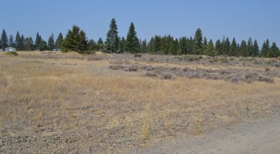 5 Adjacent Lots on Fifth Street in Sprague River Oregon