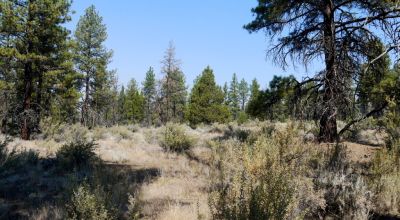 Southern Oregon Sprague River - Trees - Power - Main Road Access