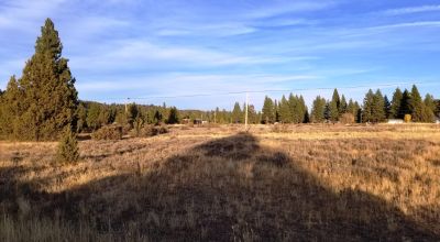 13 Town Lots in Sprague River - 7 lots together and group of 6 lots together