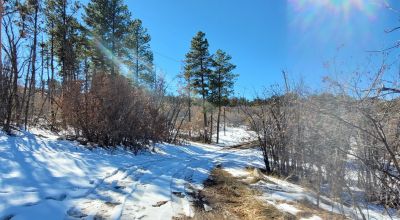 Sherwood Forest 1 acre near Torreon New Mexico - Base of the Manzano Mountains